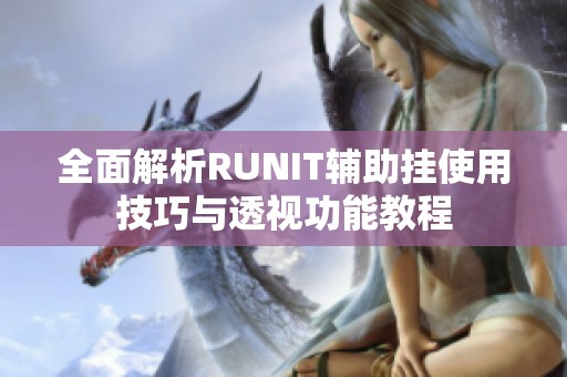 全面解析RUNIT辅助挂使用技巧与透视功能教程