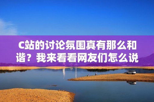 C站的讨论氛围真有那么和谐？我来看看网友们怎么说