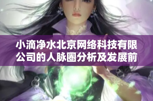 小滴净水北京网络科技有限公司的人脉圈分析及发展前景探讨