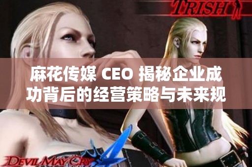 麻花传媒 CEO 揭秘企业成功背后的经营策略与未来规划