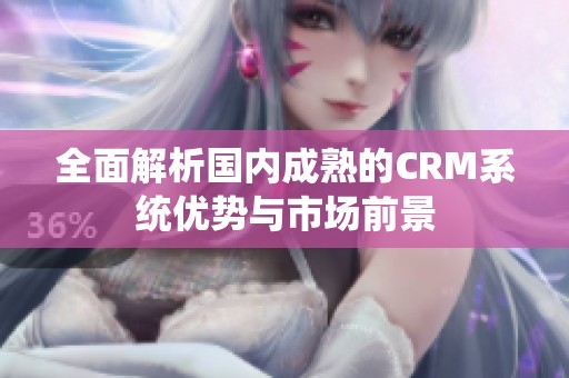 全面解析国内成熟的CRM系统优势与市场前景