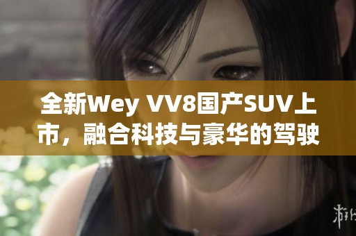 全新Wey VV8国产SUV上市，融合科技与豪华的驾驶体验