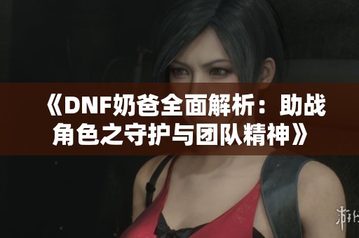 《DNF奶爸全面解析：助战角色之守护与团队精神》