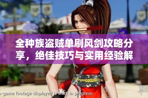 全种族盗贼单刷风剑攻略分享，绝佳技巧与实用经验解析