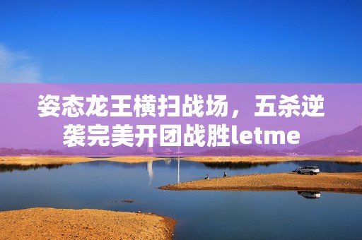 姿态龙王横扫战场，五杀逆袭完美开团战胜letme