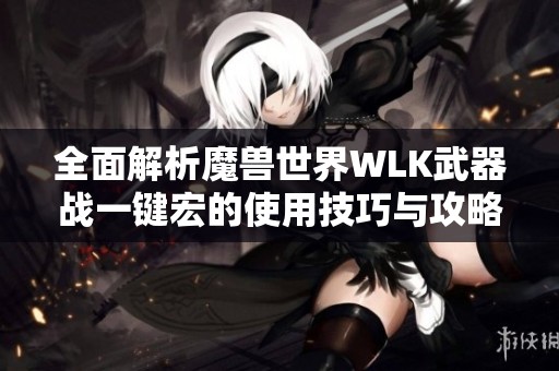 全面解析魔兽世界WLK武器战一键宏的使用技巧与攻略