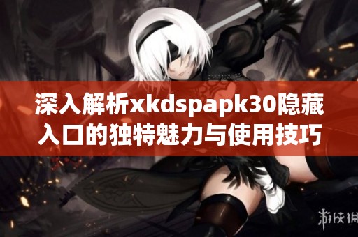 深入解析xkdspapk30隐藏入口的独特魅力与使用技巧