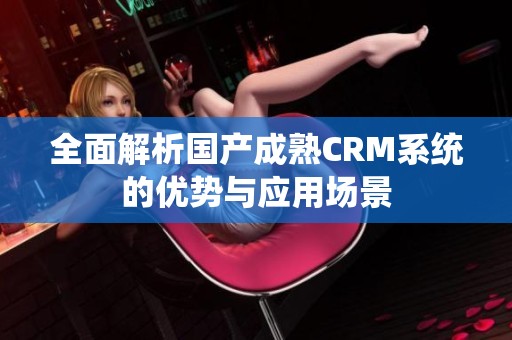 全面解析国产成熟CRM系统的优势与应用场景