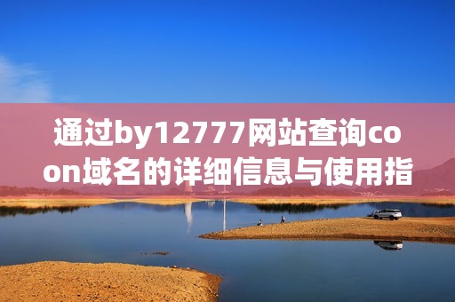 通过by12777网站查询coon域名的详细信息与使用指南