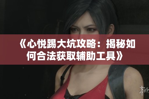 《心悦踢大坑攻略：揭秘如何合法获取辅助工具》