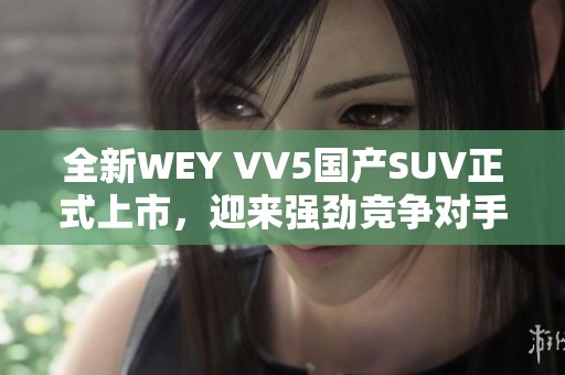 全新WEY VV5国产SUV正式上市，迎来强劲竞争对手