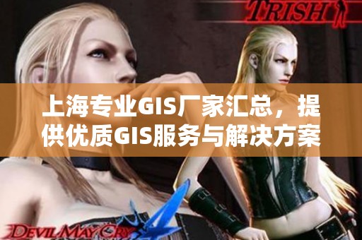 上海专业GIS厂家汇总，提供优质GIS服务与解决方案