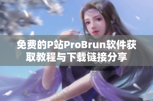 免费的P站ProBrun软件获取教程与下载链接分享