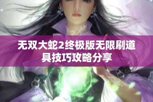 无双大蛇2终极版无限刷道具技巧攻略分享