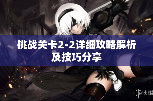 挑战关卡2-2详细攻略解析及技巧分享