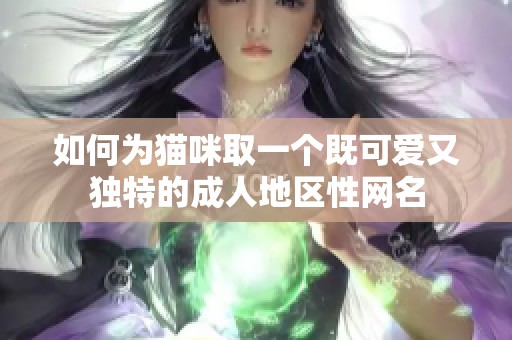 如何为猫咪取一个既可爱又独特的成人地区性网名