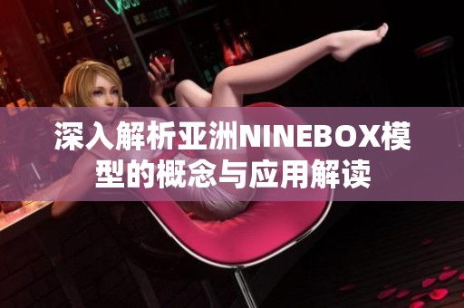 深入解析亚洲NINEBOX模型的概念与应用解读