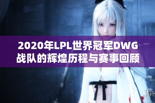 2020年LPL世界冠军DWG战队的辉煌历程与赛事回顾