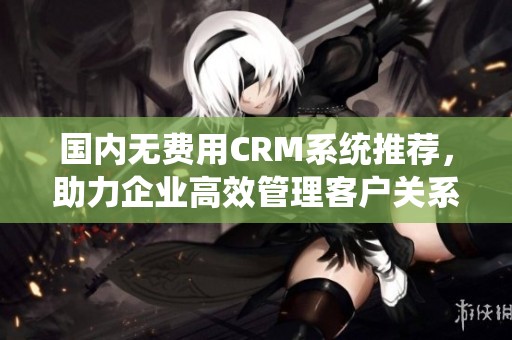 国内无费用CRM系统推荐，助力企业高效管理客户关系