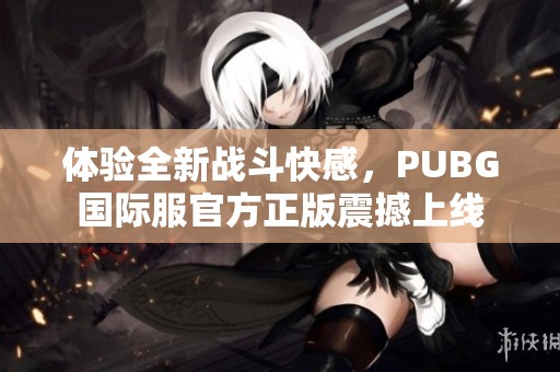 体验全新战斗快感，PUBG国际服官方正版震撼上线