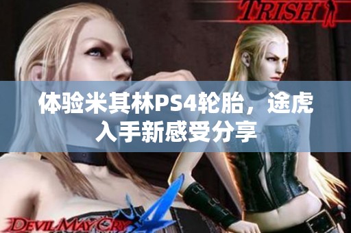体验米其林PS4轮胎，途虎入手新感受分享