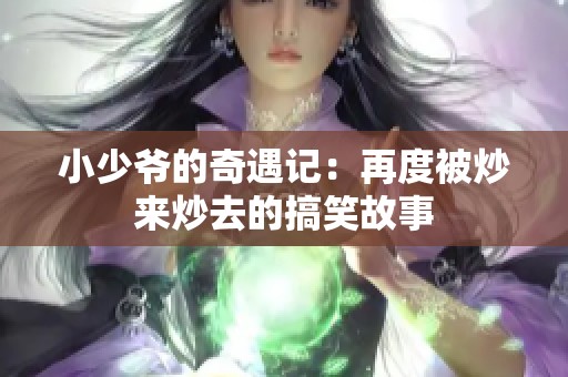 小少爷的奇遇记：再度被炒来炒去的搞笑故事