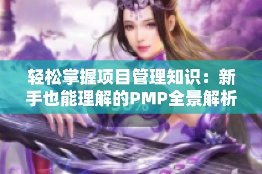 轻松掌握项目管理知识：新手也能理解的PMP全景解析