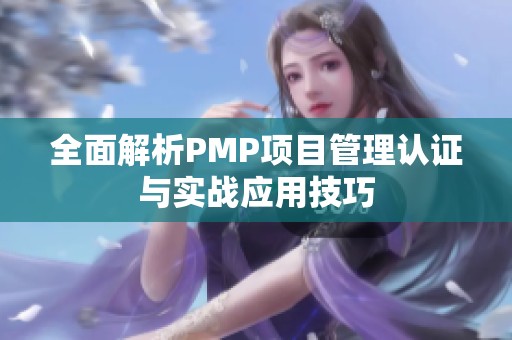 全面解析PMP项目管理认证与实战应用技巧
