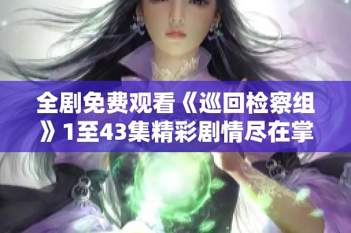 全剧免费观看《巡回检察组》1至43集精彩剧情尽在掌握