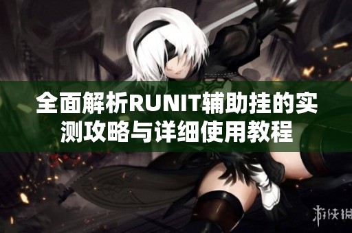 全面解析RUNIT辅助挂的实测攻略与详细使用教程