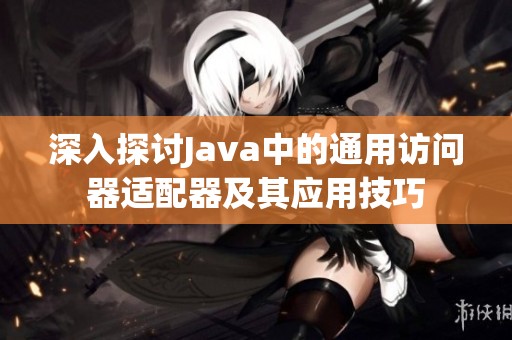 深入探讨Java中的通用访问器适配器及其应用技巧