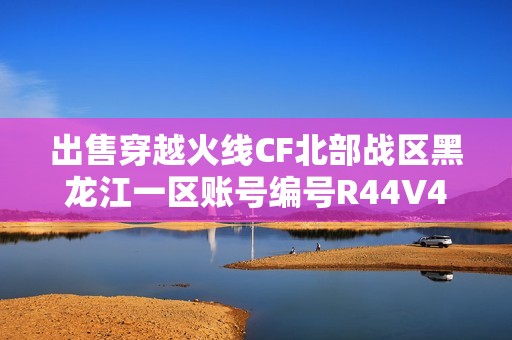 出售穿越火线CF北部战区黑龙江一区账号编号R44V4