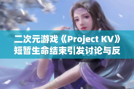 二次元游戏《Project KV》短暂生命结束引发讨论与反思