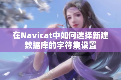 在Navicat中如何选择新建数据库的字符集设置