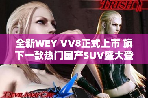 全新WEY VV8正式上市 旗下一款热门国产SUV盛大登场