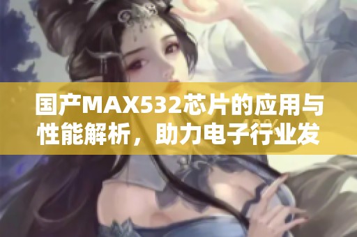 国产MAX532芯片的应用与性能解析，助力电子行业发展