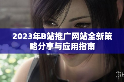 2023年B站推广网站全新策略分享与应用指南