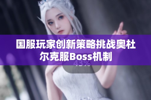 国服玩家创新策略挑战奥杜尔克服Boss机制