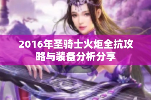 2016年圣骑士火炬全抗攻略与装备分析分享