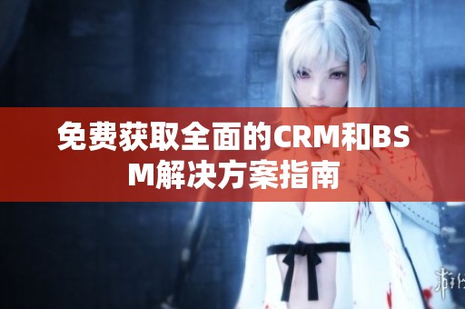 免费获取全面的CRM和BSM解决方案指南