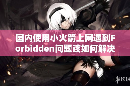 国内使用小火箭上网遇到Forbidden问题该如何解决