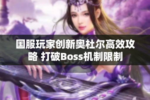 国服玩家创新奥杜尔高效攻略 打破Boss机制限制